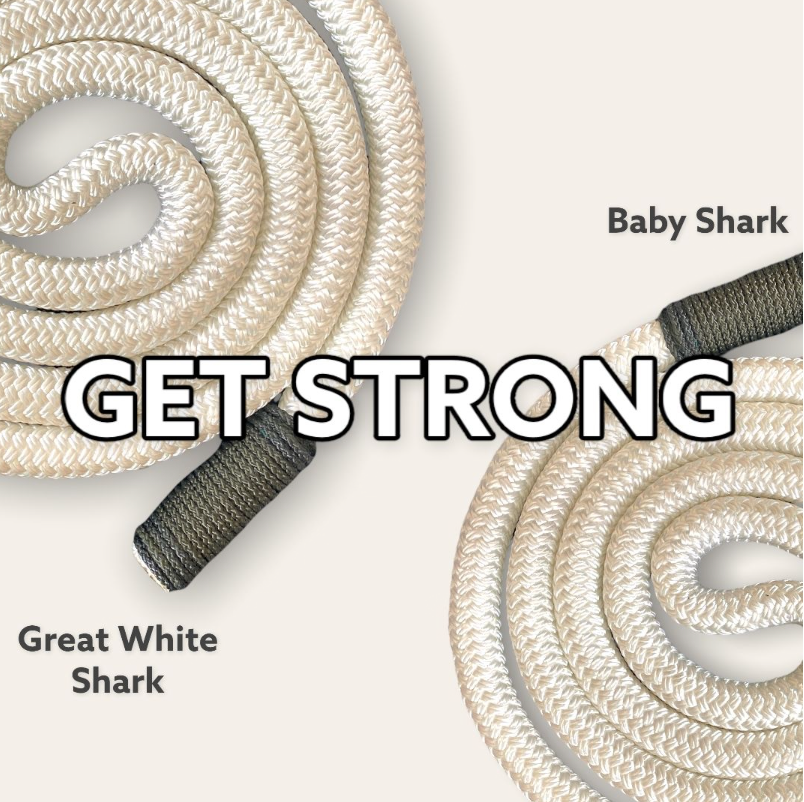 Get Strong: Baby Shark & Great White Shark - windingropes